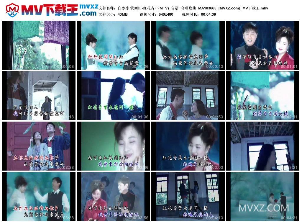 白冰冰 黄西田-红花青叶(MTV)_台语_合唱歌曲_MA103665